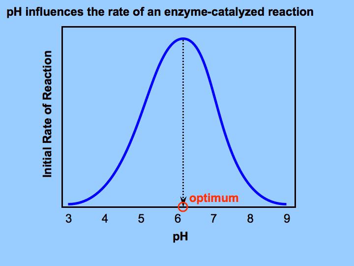 Оптимум PH. Реннин Оптимум PH. Enzyme graph. Оптимум PH мирозиназа. Choose effect